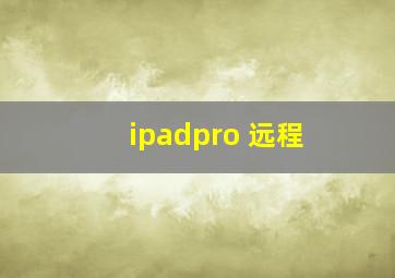 ipadpro 远程